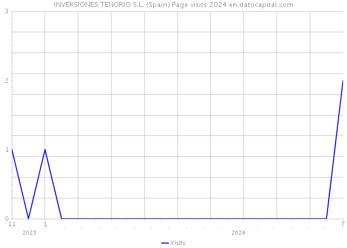INVERSIONES TENORIO S.L. (Spain) Page visits 2024 