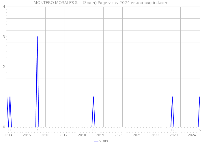 MONTERO MORALES S.L. (Spain) Page visits 2024 