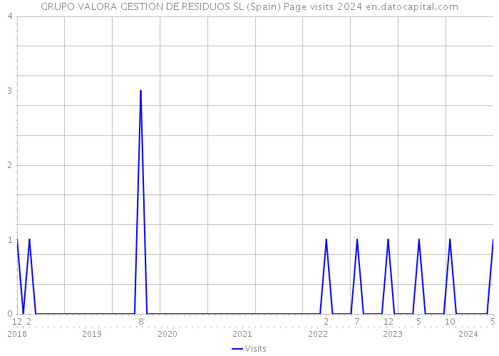GRUPO VALORA GESTION DE RESIDUOS SL (Spain) Page visits 2024 
