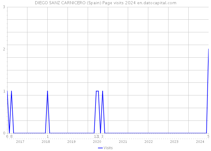 DIEGO SANZ CARNICERO (Spain) Page visits 2024 