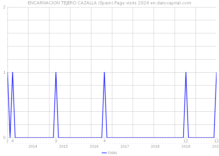 ENCARNACION TEJERO CAZALLA (Spain) Page visits 2024 