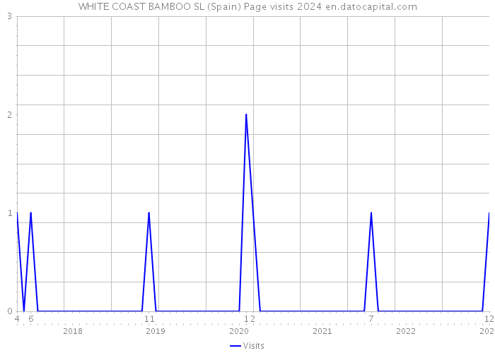 WHITE COAST BAMBOO SL (Spain) Page visits 2024 