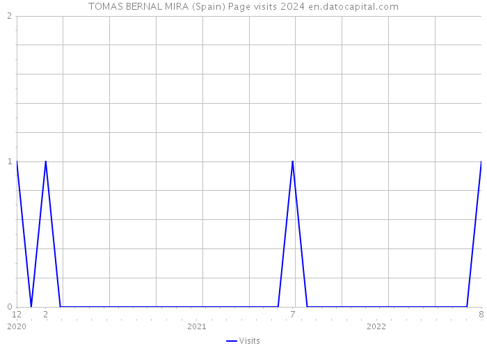TOMAS BERNAL MIRA (Spain) Page visits 2024 