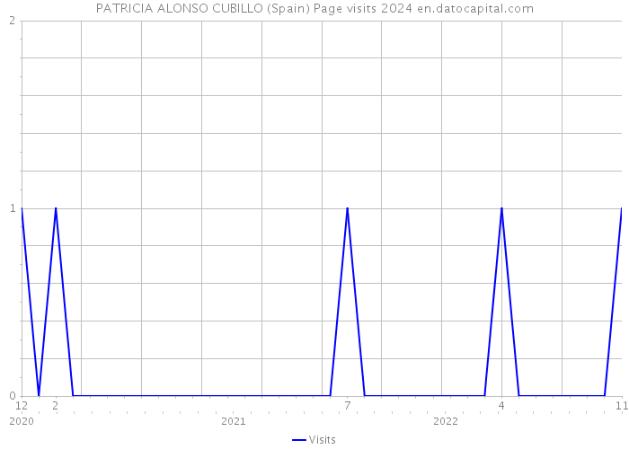 PATRICIA ALONSO CUBILLO (Spain) Page visits 2024 