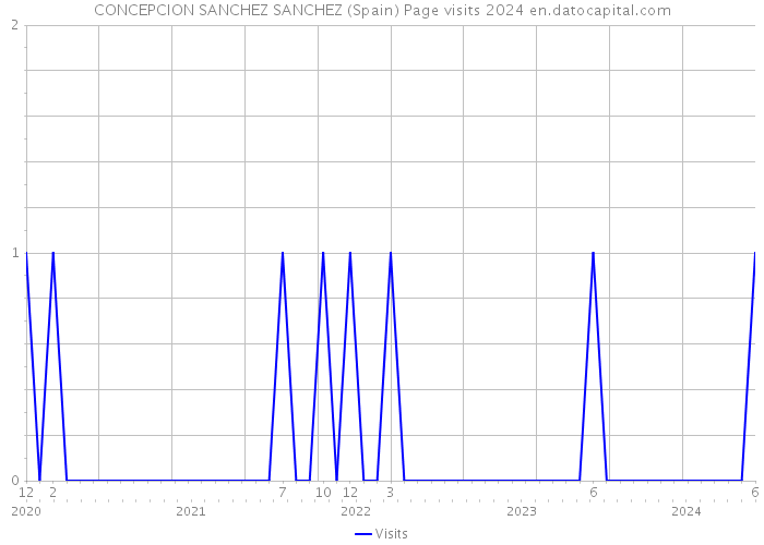 CONCEPCION SANCHEZ SANCHEZ (Spain) Page visits 2024 