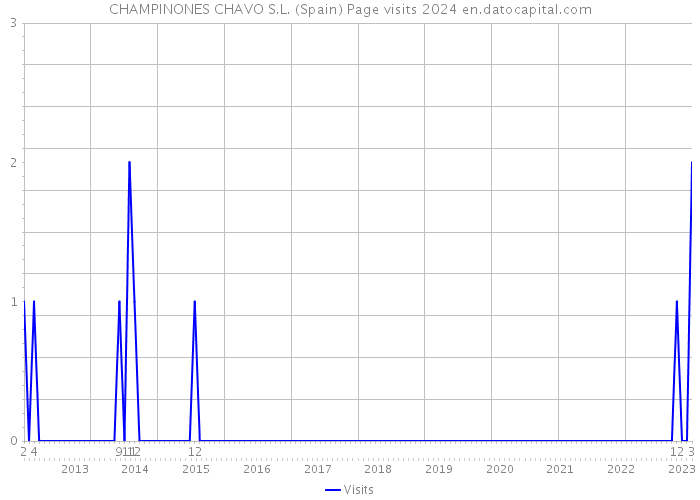 CHAMPINONES CHAVO S.L. (Spain) Page visits 2024 