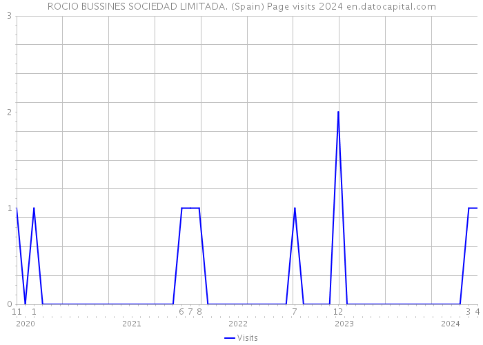 ROCIO BUSSINES SOCIEDAD LIMITADA. (Spain) Page visits 2024 