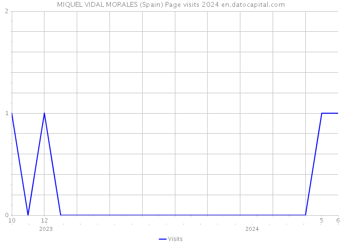 MIQUEL VIDAL MORALES (Spain) Page visits 2024 