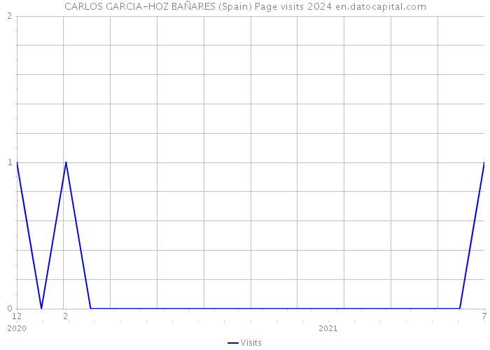 CARLOS GARCIA-HOZ BAÑARES (Spain) Page visits 2024 
