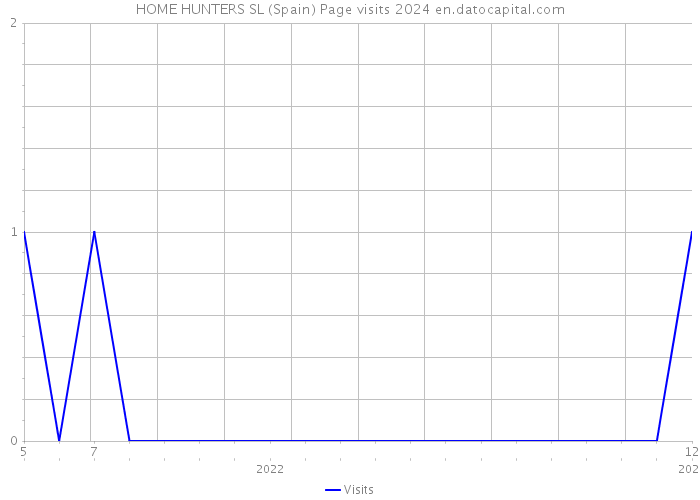 HOME HUNTERS SL (Spain) Page visits 2024 