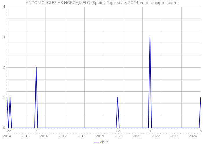 ANTONIO IGLESIAS HORCAJUELO (Spain) Page visits 2024 