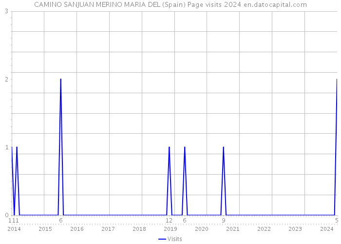 CAMINO SANJUAN MERINO MARIA DEL (Spain) Page visits 2024 