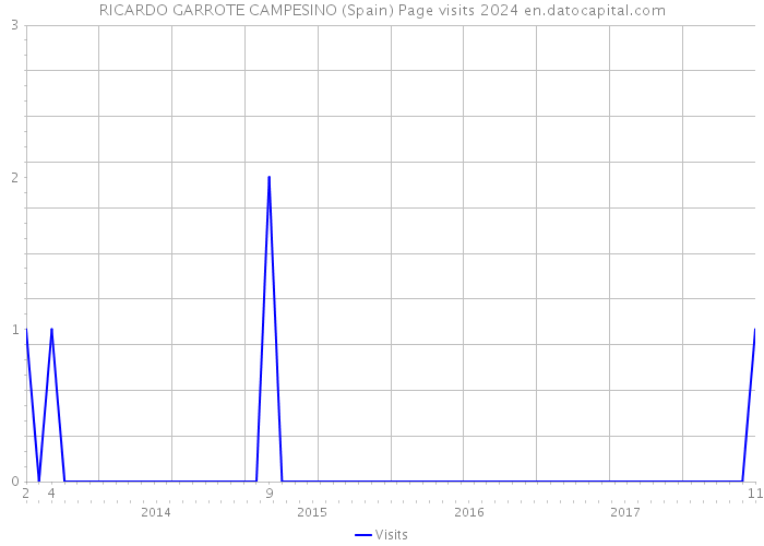 RICARDO GARROTE CAMPESINO (Spain) Page visits 2024 