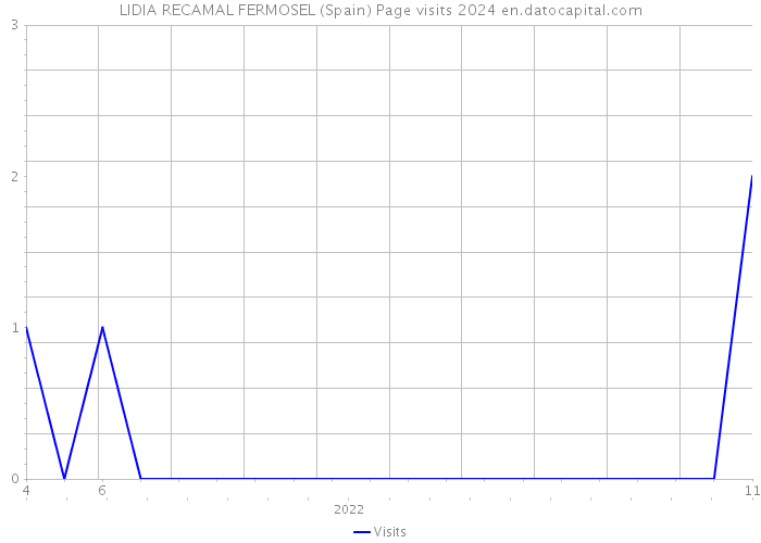 LIDIA RECAMAL FERMOSEL (Spain) Page visits 2024 