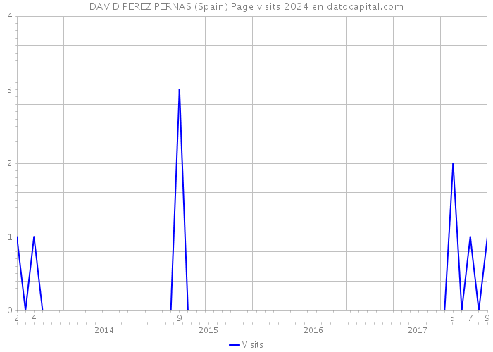 DAVID PEREZ PERNAS (Spain) Page visits 2024 