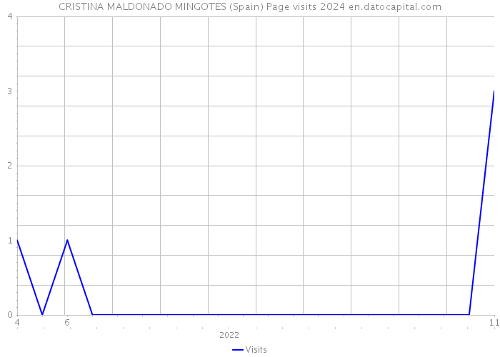 CRISTINA MALDONADO MINGOTES (Spain) Page visits 2024 