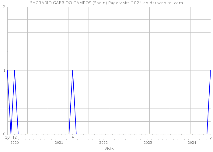 SAGRARIO GARRIDO CAMPOS (Spain) Page visits 2024 