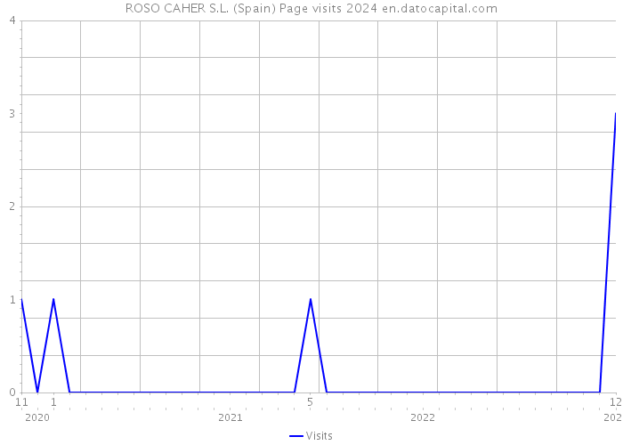 ROSO CAHER S.L. (Spain) Page visits 2024 