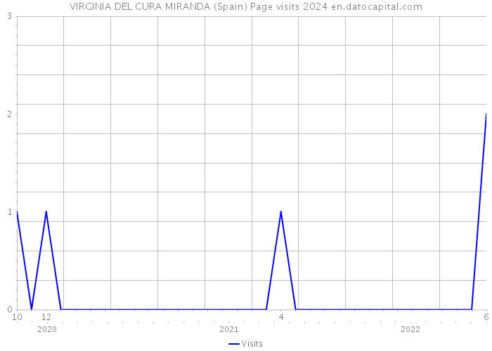 VIRGINIA DEL CURA MIRANDA (Spain) Page visits 2024 