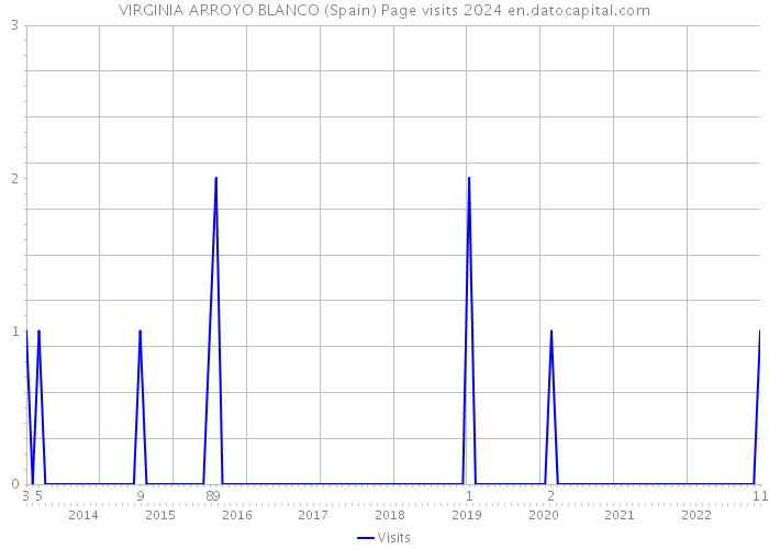 VIRGINIA ARROYO BLANCO (Spain) Page visits 2024 