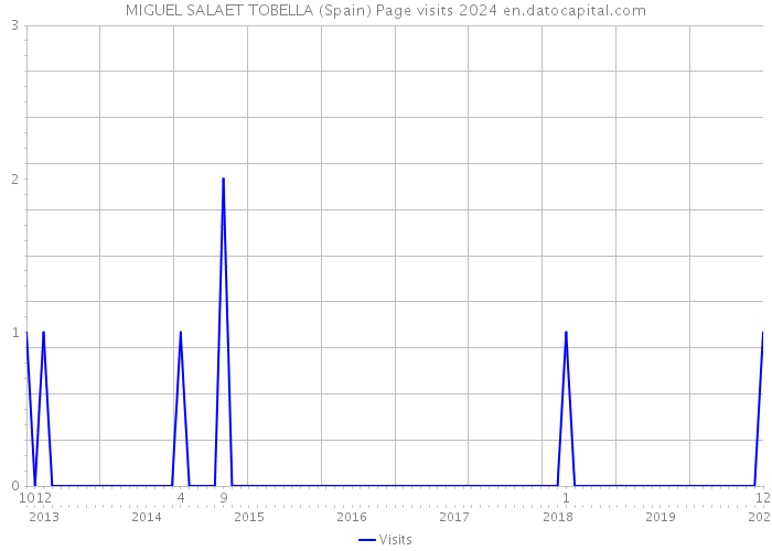 MIGUEL SALAET TOBELLA (Spain) Page visits 2024 