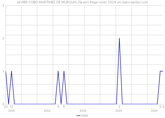 JAVIER COBO MARTINEZ DE MURGUIA (Spain) Page visits 2024 