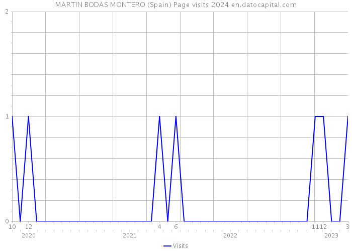 MARTIN BODAS MONTERO (Spain) Page visits 2024 