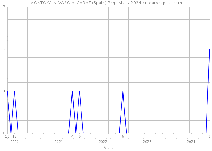 MONTOYA ALVARO ALCARAZ (Spain) Page visits 2024 