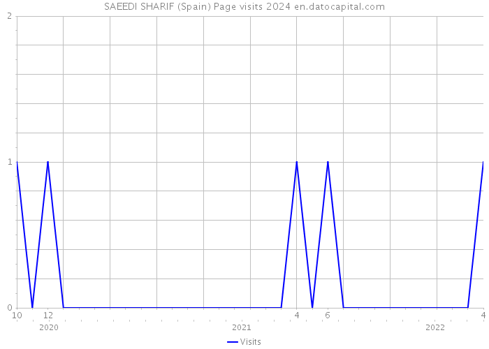 SAEEDI SHARIF (Spain) Page visits 2024 
