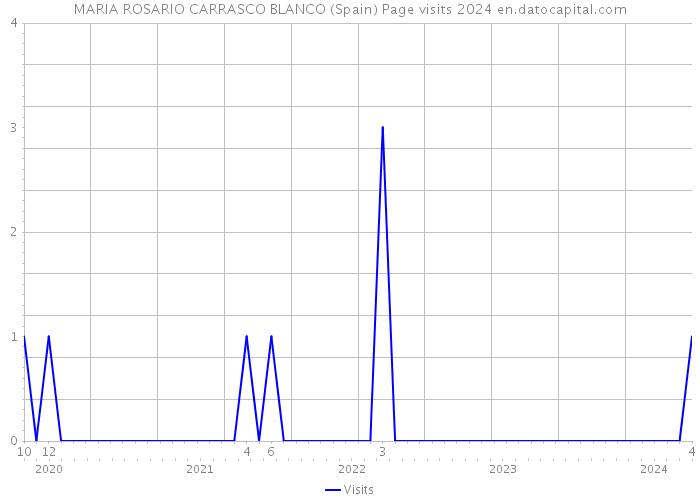 MARIA ROSARIO CARRASCO BLANCO (Spain) Page visits 2024 