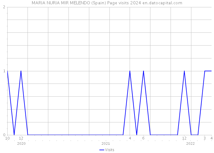 MARIA NURIA MIR MELENDO (Spain) Page visits 2024 