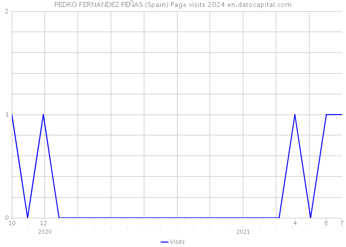 PEDRO FERNANDEZ PEÑAS (Spain) Page visits 2024 