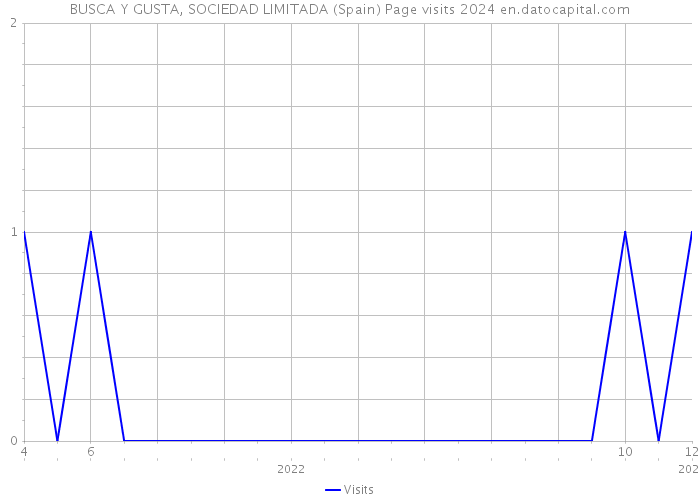 BUSCA Y GUSTA, SOCIEDAD LIMITADA (Spain) Page visits 2024 