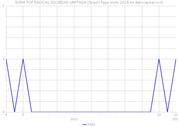 SUSHI TOP RADICAL SOCIEDAD LIMITADA (Spain) Page visits 2024 