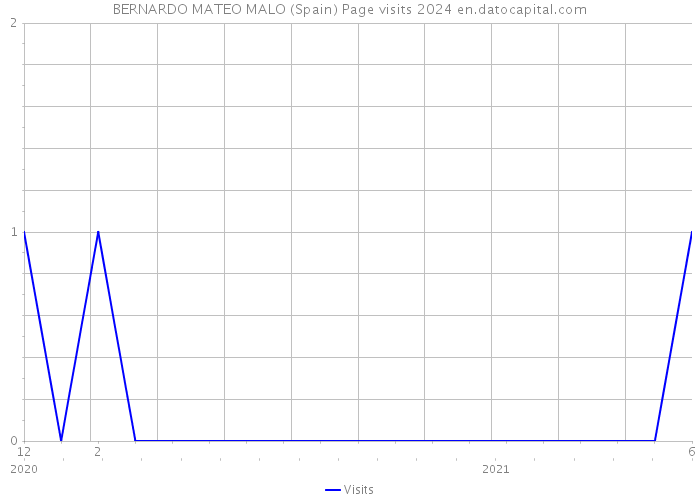 BERNARDO MATEO MALO (Spain) Page visits 2024 