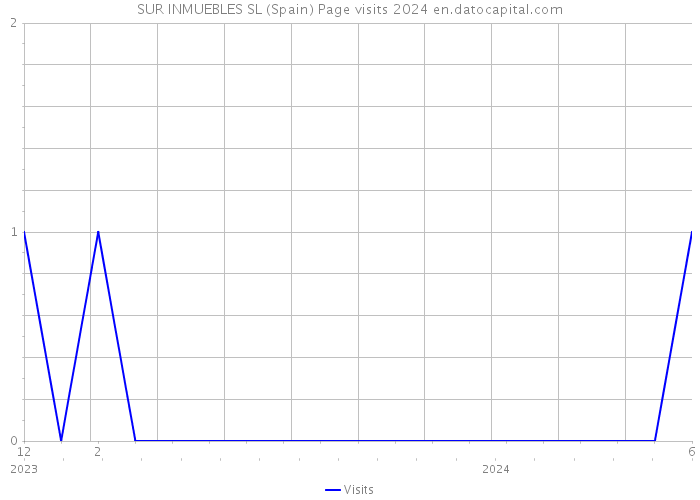 SUR INMUEBLES SL (Spain) Page visits 2024 