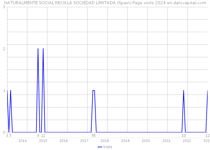 NATURALMENTE SOCIAL RECIKLA SOCIEDAD LIMITADA (Spain) Page visits 2024 