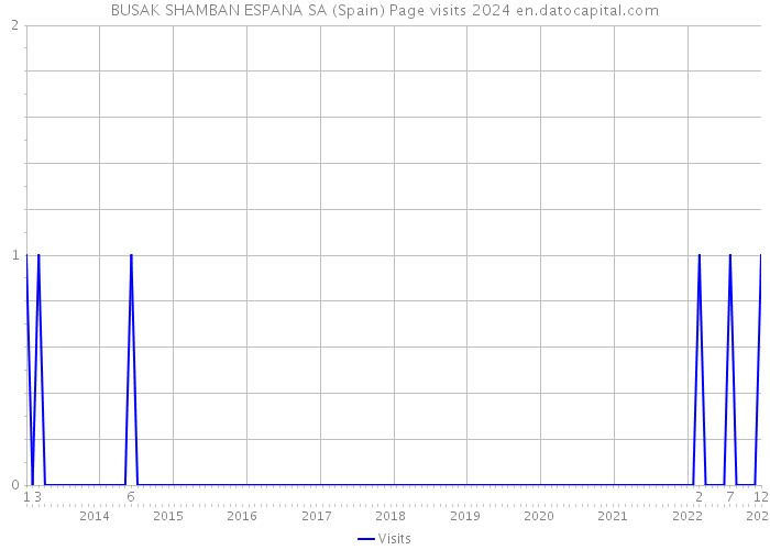 BUSAK SHAMBAN ESPANA SA (Spain) Page visits 2024 