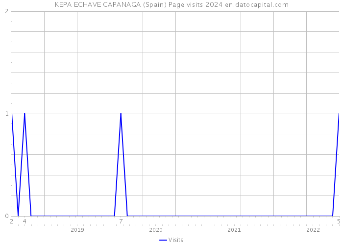 KEPA ECHAVE CAPANAGA (Spain) Page visits 2024 
