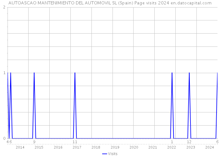 AUTOASCAO MANTENIMIENTO DEL AUTOMOVIL SL (Spain) Page visits 2024 