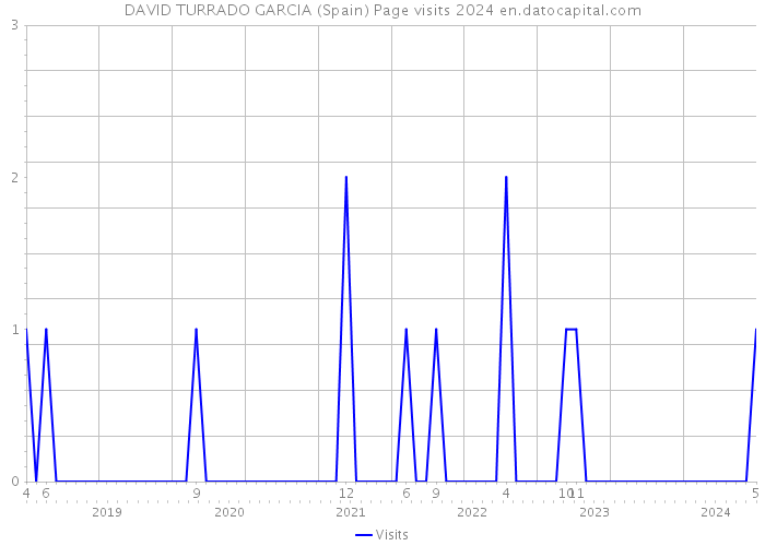 DAVID TURRADO GARCIA (Spain) Page visits 2024 