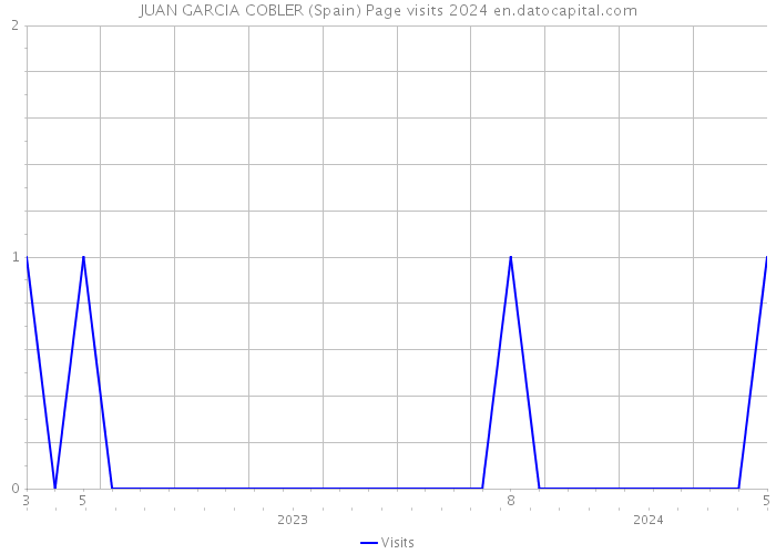 JUAN GARCIA COBLER (Spain) Page visits 2024 