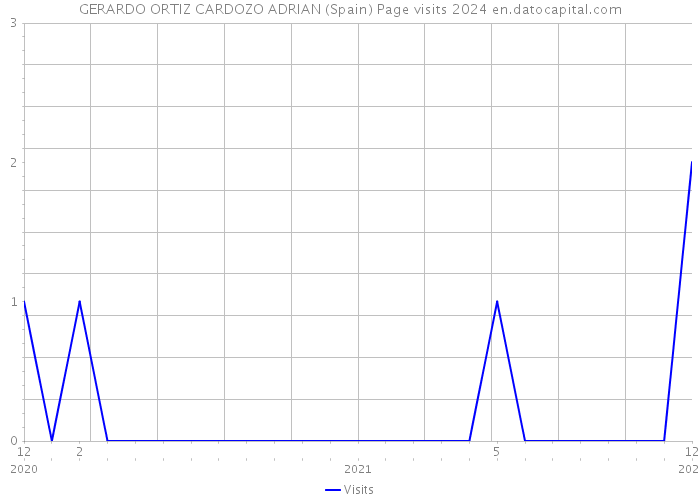 GERARDO ORTIZ CARDOZO ADRIAN (Spain) Page visits 2024 