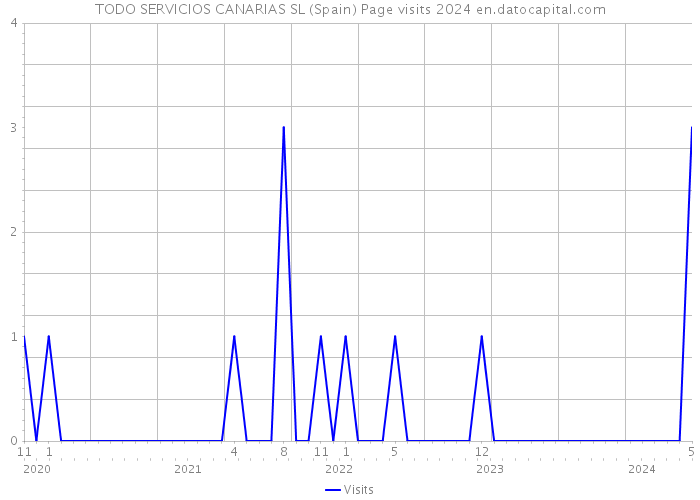 TODO SERVICIOS CANARIAS SL (Spain) Page visits 2024 