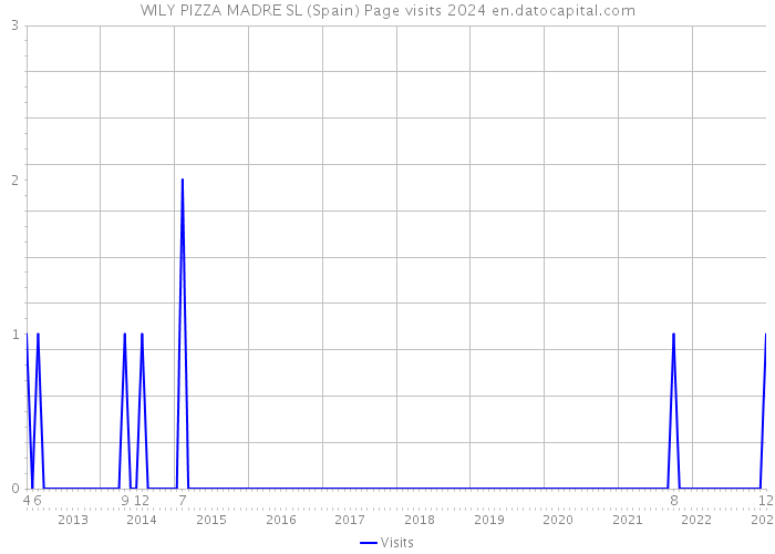 WILY PIZZA MADRE SL (Spain) Page visits 2024 