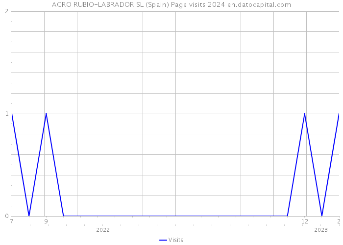 AGRO RUBIO-LABRADOR SL (Spain) Page visits 2024 