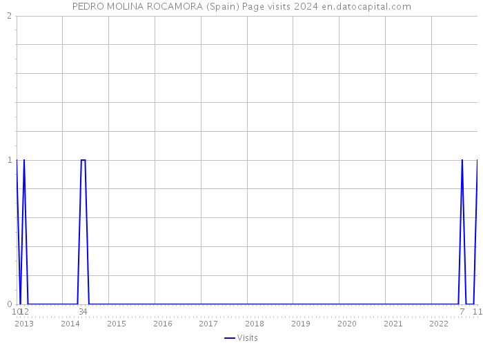 PEDRO MOLINA ROCAMORA (Spain) Page visits 2024 