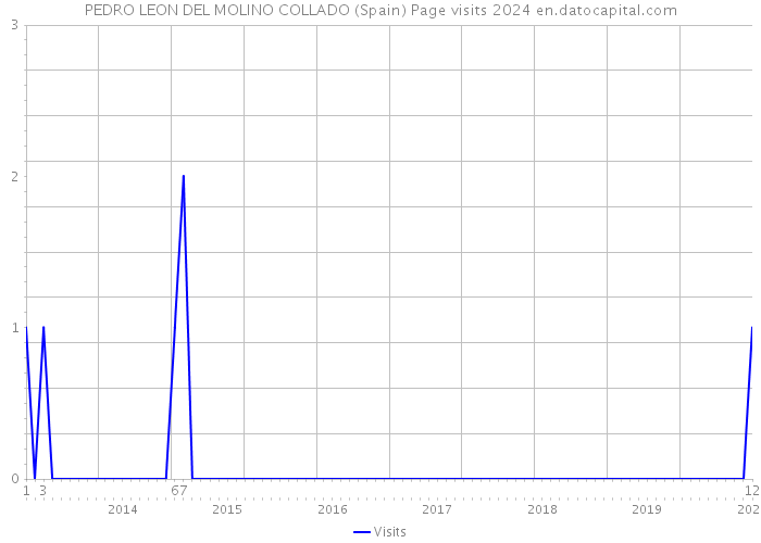 PEDRO LEON DEL MOLINO COLLADO (Spain) Page visits 2024 