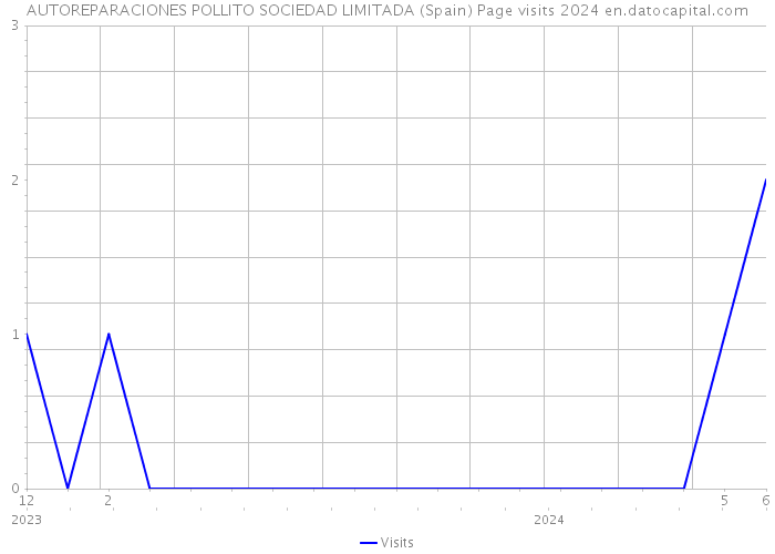 AUTOREPARACIONES POLLITO SOCIEDAD LIMITADA (Spain) Page visits 2024 