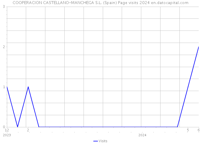 COOPERACION CASTELLANO-MANCHEGA S.L. (Spain) Page visits 2024 